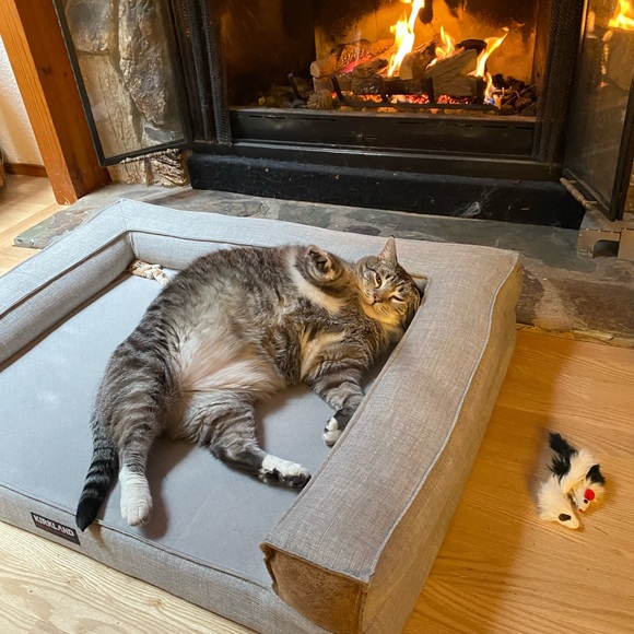 Meet your Posher, Michelle - Picture 12 of 17